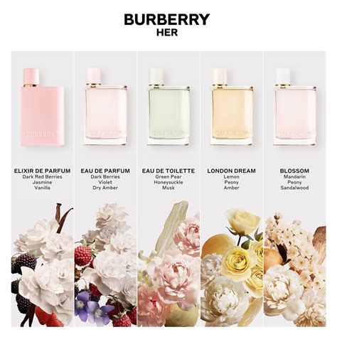 burberry her edp vs elixir|burberry her perfume for women.